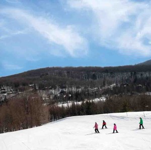 Things to do in Michigan include downhill skiing, snowboarding, snowshoeing, snowmobiling, ice fishing, sleigh rides and tubing.