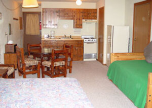 Pioneer Elite Condo