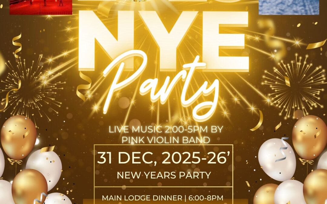 New Years Dinner, Fireworks & Torchlight Parade